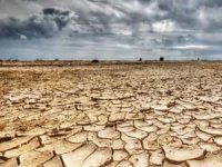 Somali'de kuraklık nedeniyle kıtlık endişesi