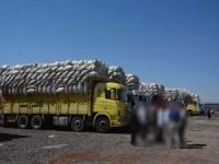 Şanlıurfa'da saman pazarında kavga: 3 yaralı