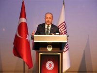 TBMM Başkanı Mustafa Şentop Mardin'de etkinliklere katıldı
