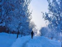 Meteorolojiden Bitlis için kar yağışı uyarısı