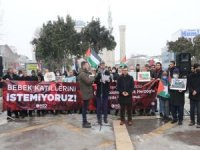 AGD Malatya Şubesi: Herzog'un Türkiye'ye gelmesi Müslümanlar için utanç sebebidir