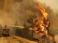 Uşak'ta çıkan orman yangınını söndürme çalışmaları devam ediyor