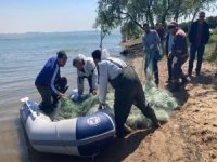 Yasak avlanılan 3 ton canlı balık suya bırakıldı