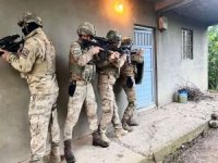 Bitlis merkezli PKK operasyonu: 12 gözaltı