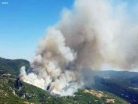 Muğla'da 5 günde 17 yerde orman yangını çıktı