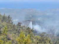 Marmaris'teki orman yangınına ilişkin soruşturma