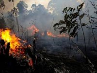 Mersin'deki orman yangını sürüyor: Bölgede 30 ev tedbir amaçlı boşaltıldı