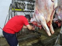 Yetimler Vakfı, binlerce yetim aileye kurban eti ulaştırmaya hazır
