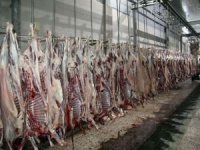 Avrupa Yetim Eli Türkiye'de binlerce mağdur aileye kurban eti dağıtacak