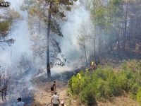 Burdur'da orman yangını