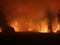 Azerbaycan'da 5 bin hektar arazi yandı