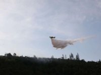 İzmir'deki orman yangınına 19 hava aracı müdahale ediyor