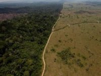 Amazonlardaki orman kayıpları rekor seviyeye ulaştı
