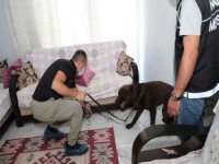 Mersin’de uyuşturucu operasyonu; 60 şüpheli gözaltına alındı