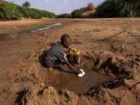 Somali'de kuraklık krizi