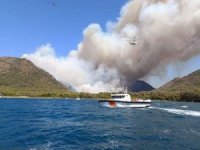 AFAD: Orman yangınından etkilenen 9 kişi taburcu edildi