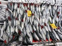 Balık fiyatları düşmesiyle çarşı pazar hareketlendi