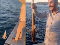 Beykoz'da balıkçının oltasına köpek balığı takıldı