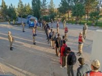 Şanlıurfa'da 24 kaçak göçmen yakalandı