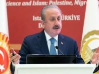 İSİPAB Dönem Başkanı Şentop: Kur'an-ı Kerim'i yakma eylemini en güçlü şekilde lanetliyoruz