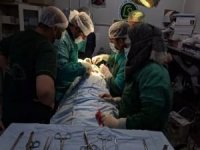 Sağlık Bakanı Koca'dan "malpraktis yasası"na ilişkin açıklama