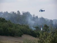 Adana'daki orman yangını kontrol altında alındı
