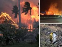 Alevlere teslim olan Hawaii "afet bölgesi" ilan edildi: 55 ölü, yüzlerce kayıp