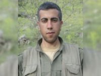 PKK/KCK'nin basın ve arşiv sorumlusu öldürüldü