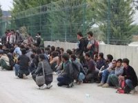 Edirne'de 236 düzensiz göçmen yakalandı