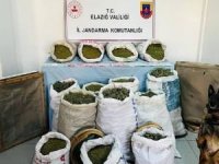 Elazığ'da 241 kilo esrar ele geçirildi