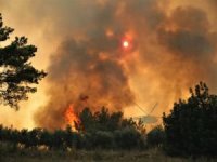 Karabük'te orman yangını