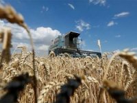 Polonya ile Ukrayna arasında tahıl krizi büyüyor