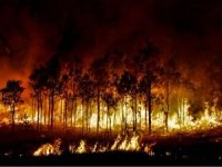 Endonezya orman yangınları ile mücadele ediyor