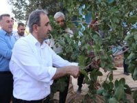 HÜDA PAR Gaziantep Milletvekili Demir: Çiftçiler hazine gibi korunmalıdır