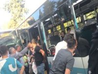 Şanlıurfa'da iki otobüs çarpıştı