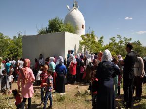 Şeyh Mahmut Türbesi'ne ziyaretçi akını