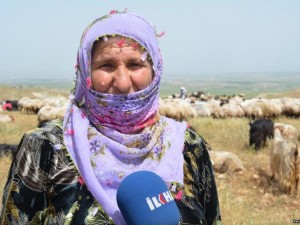 Berivanların zorlu geçim yolculuğu