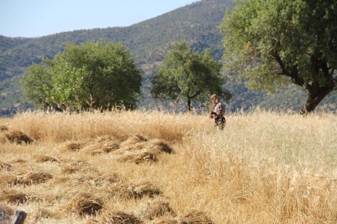 PKK’nın Gêra Cafer zulmü! 12