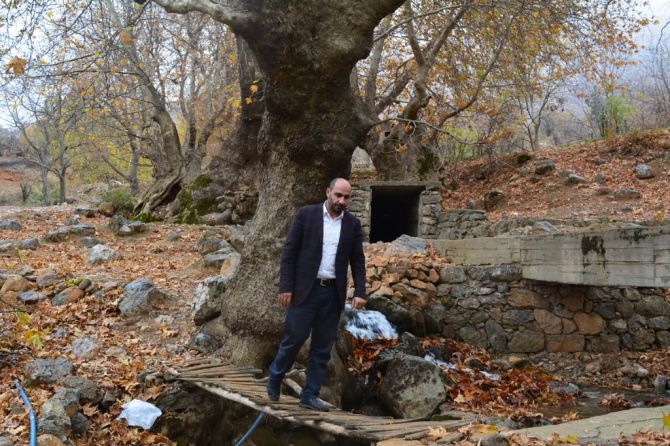 Sevek Çeşmesi doğal güzelliğiyle göz kamaştırıyor 14