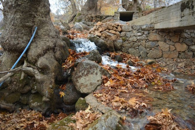 Sevek Çeşmesi doğal güzelliğiyle göz kamaştırıyor 15