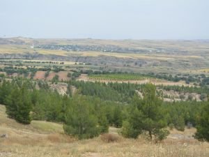 'Tabiat Parkı' projesi hazır