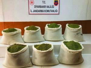 Diyarbakır'da 310 kilogram esrar bin 700 kök keneviri ele geçirildi