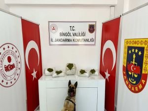 Bingöl'de 13 kilo 500 gram toz esrar ele geçirildi