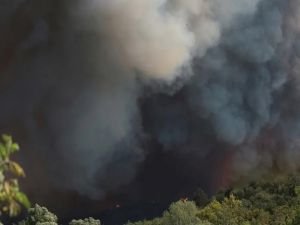 Sakarya'da çıkan orman yangını söndürüldü