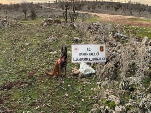 Mardin'de 25 kilo EYP ele geçirildi