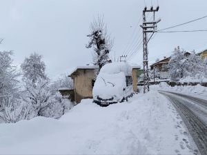 Bitlis, Van, Muş ve Hakkari'de 1444 yerleşim birimi ulaşıma kapandı