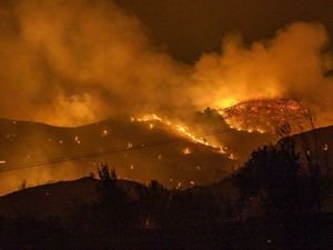 Rize'de orman yangını