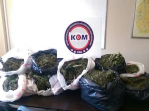 Uyuşturucu operasyonları