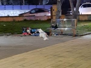 Ağrı'da bir parkta unutulan valiz fünye yardımı ile patlatıldı