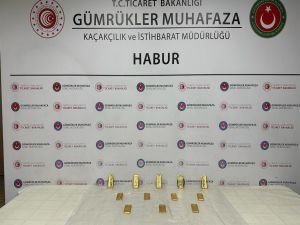 Habur'da 50 milyon TL değerinde altın yakalandı